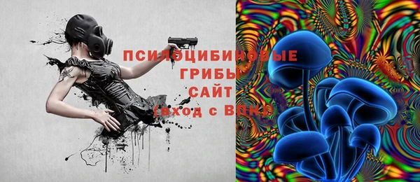 apvp Балахна