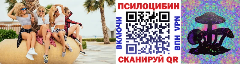 Купить  Ейск  Псилоцибиновые грибы мухоморы 